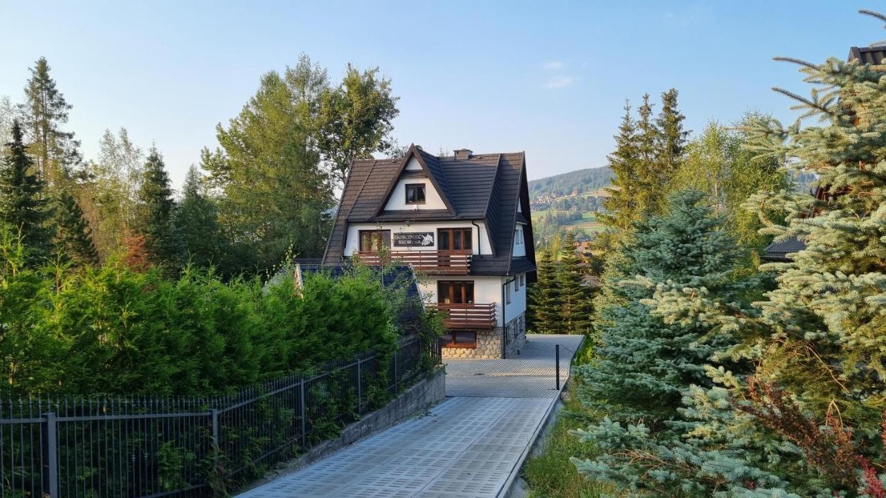 Gosciniec Skorusa Koscielisko Exterior photo